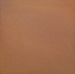 terra-1610-313