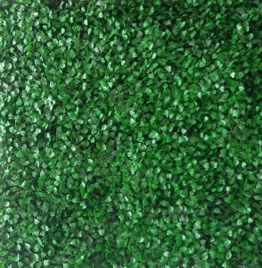 A001 L Green  50x50cm         