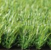 Artificial Grass