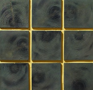 WS-1003  